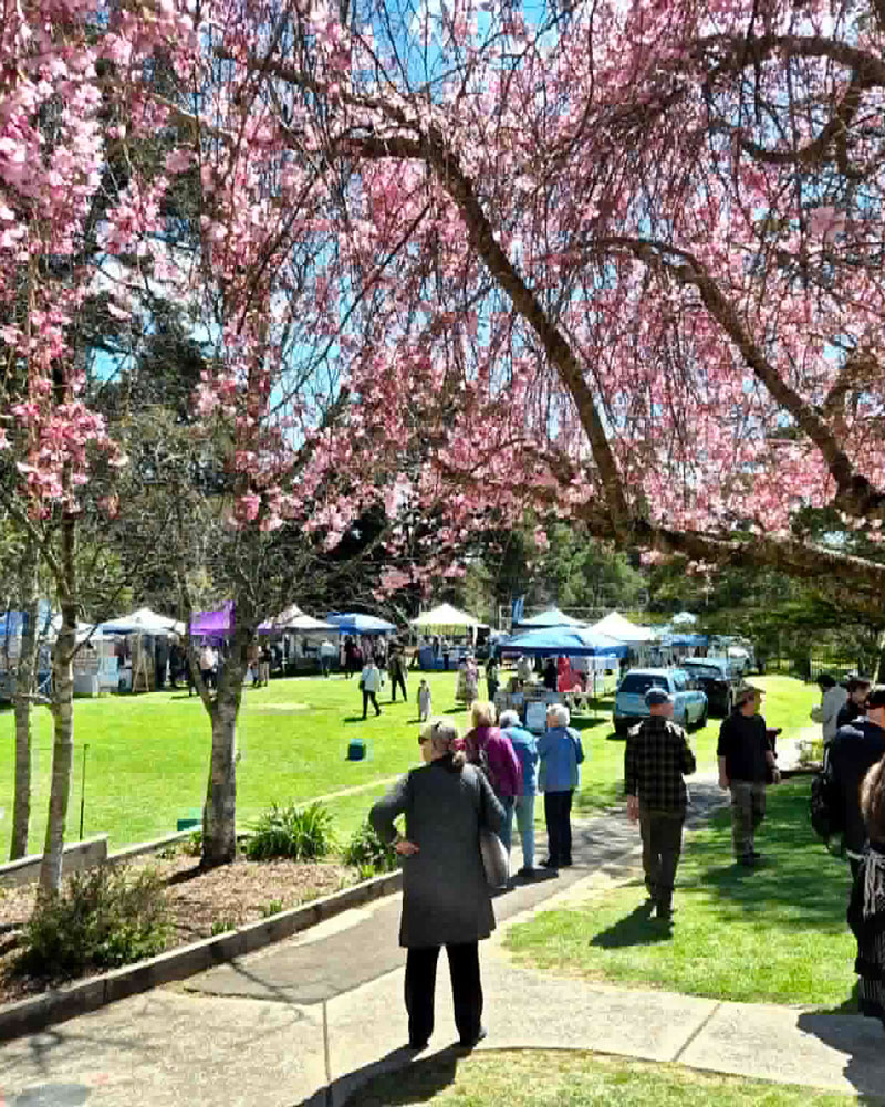Mount-Vic-Fest-2026-8